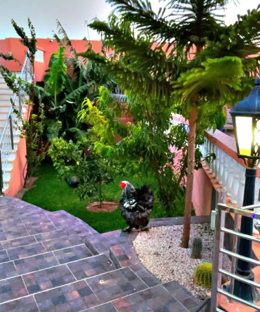 אגאדיר Riad Dar Salam מרוקו